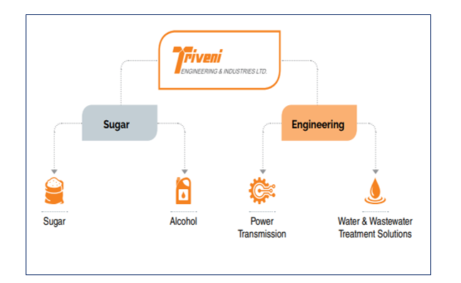 trivedi-fundamental-report