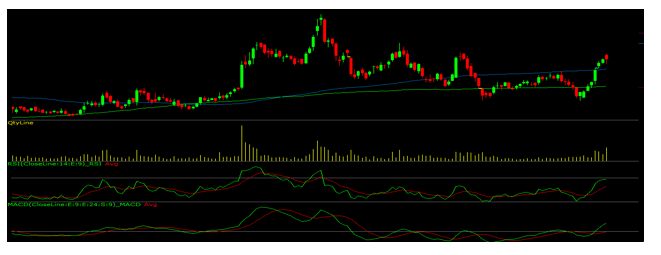 Techno-funda-elite-wealth-limited