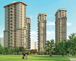 MAX NOIDA