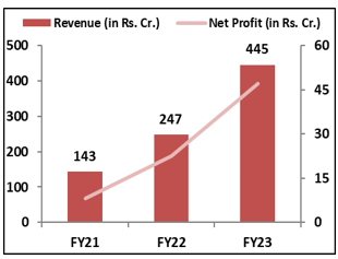 Netweb-Financial-Performance