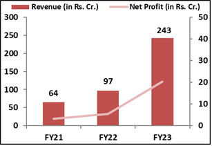 BLS-E-Services-Limited -IPO-Financial- Performance-elite-wealth